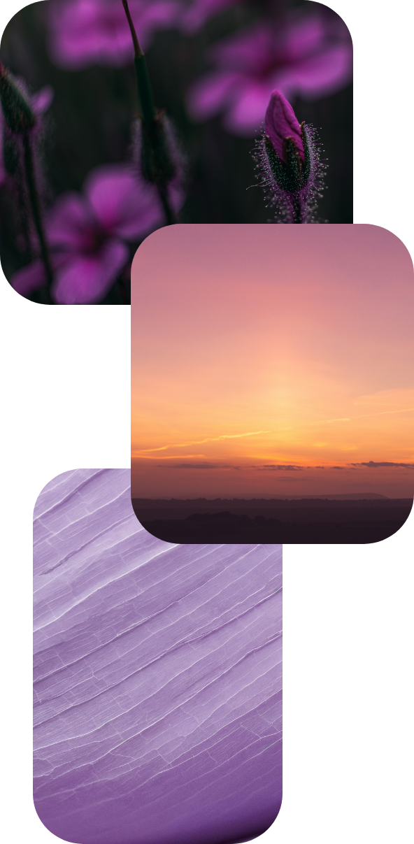 About Xvera